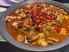 -美蛙四季(六里桥店)