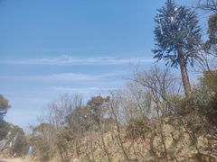 -惠山国家森林公园