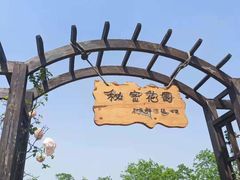 -杭州湾海上花田景区