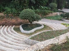 -金花茶公园