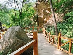 -大岭沟猕猴桃谷风景区
