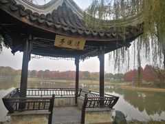 -尚贤河湿地