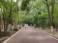 -攀枝花公园