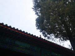 -大钟寺古钟博物馆