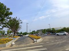 -梦之蓝青奥体育公园体育馆