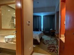 -维也纳酒店(南京奥体中心店)