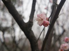 -白塘生态植物园