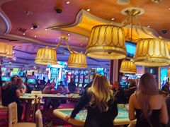 -拉斯维加斯永利酒店