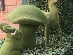 -老外街