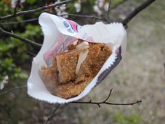 -1973继光香香鸡(大东方百货店)