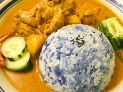 马来咖喱鸡饭-马来MO简餐.南洋风味料理(美食街店)
