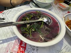 -壹盏灯(惠农店)