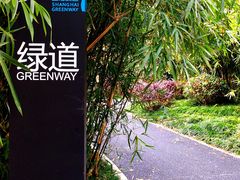 -新江湾城公园