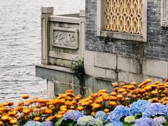 -荔湾湖公园
