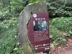 -青城山