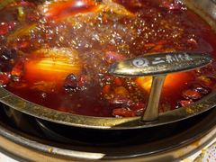 -二荆条·蜀鲜汇城市森林火锅