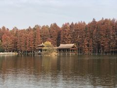 -采石矶景区
