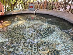 -丰泰花园酒店热矿泉