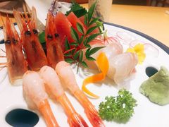 刺身拼盘-紫· 割烹  Kappo Murasaki