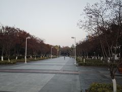 -白塘生态植物园