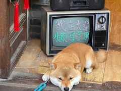 -大理洱海
