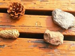 -长春公园(普阳街道)