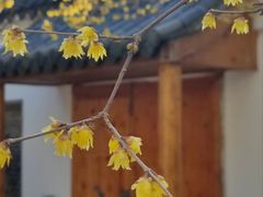 -无锡梅园公园