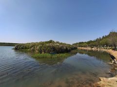 -丁香湖公园