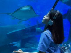 -福州罗源湾海洋世界旅游区