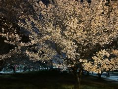 -同济大学(嘉定校区)