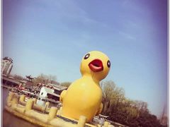 -紫竹院公园冰场