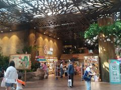 -杭州开元森泊度假乐园