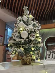 -妈咪呗呗月子中心(市心店)