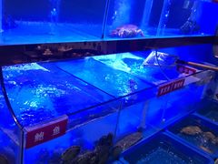 -小龍鳳·港式海鲜打边炉(沙湖路店)
