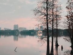-海珠湖公园