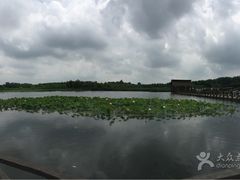 -溱湖国家湿地公园
