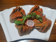 -呼吸森林·生态农庄农家乐私房菜