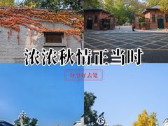 -北京医院