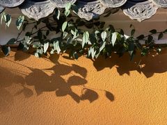 -普陀山风景名胜区-法雨禅寺