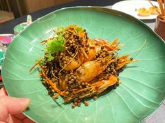 -桂满陇·海市蜃楼·黑金(国金店)