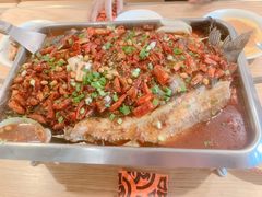清江鱼-鸣记脆皮烤鱼(铁西店)