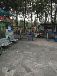 -将府公园儿童游乐场