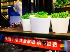 生菜-韩聚屋韩国烤肉餐厅(新北万达店)