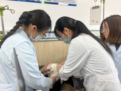 -中国农业大学动物医院