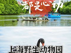-上海野生动物园