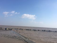 -南汇嘴观海公园