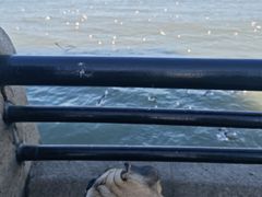-幸福门