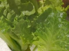 -悦来悦牛潮汕牛肉火锅(大浪店)