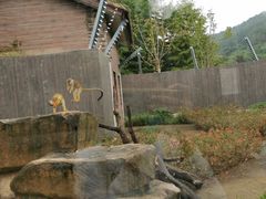 -上方山森林动物世界