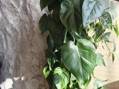 -郑庄脂渣海鲜楼(九水路店)